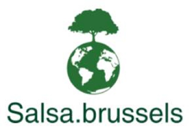 Salsa lessen Brussel- Bachata brussels - Kizomba Brussel - Ballroom Brussel - latijn Brussel - Swing Brussel - Cha-cha-cha- Dynamodance.com-Salsa.brussels